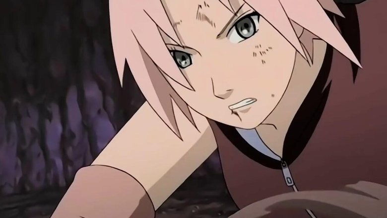 Naruto Shippuden Season 1 Hindi Download Free - AnimeDrive