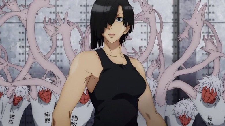 Cells at Work Season 2 Multi Audio WEB-DL - AnimeDrive