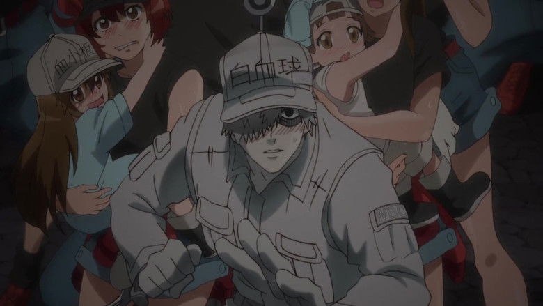 Cells at Work Season 1 Hindi Download Free - AnimeDrive