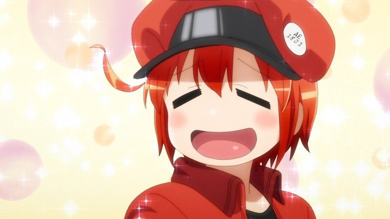 Cells at Work Season 2 Hindi Download Free - AnimeDrive