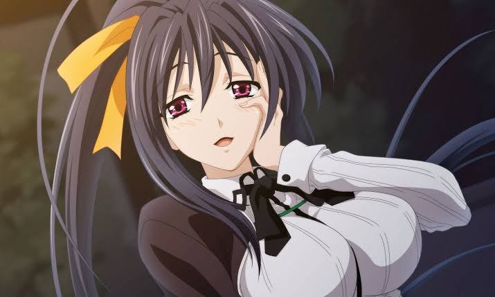 High School DxD Seasons 1-4 Hindi Download Free All Episodes - AnimeDrive