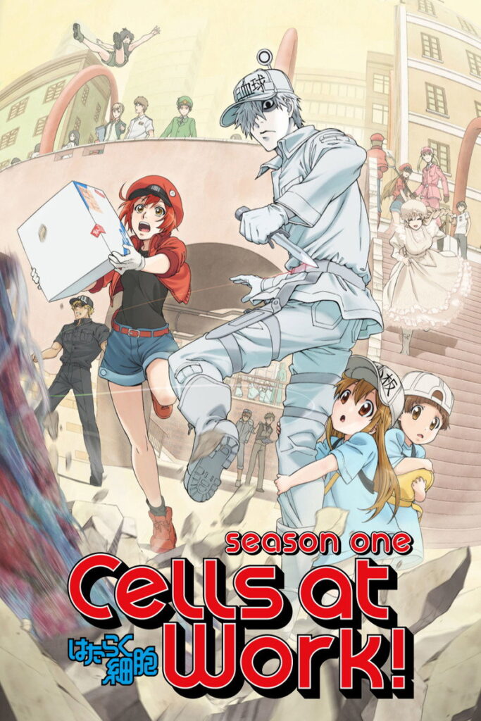 Cells at Work Season 1 Hindi Download