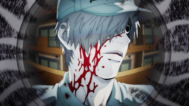 Cells at Work Season 2 Hindi Download Free - AnimeDrive