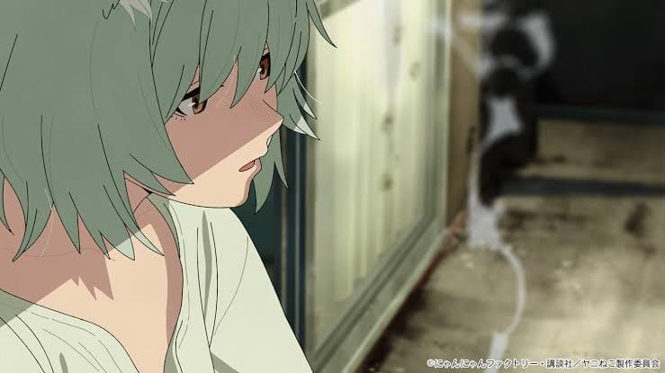 Chainsmoker Cat Season 1 Hindi Download Free - AnimeDrive