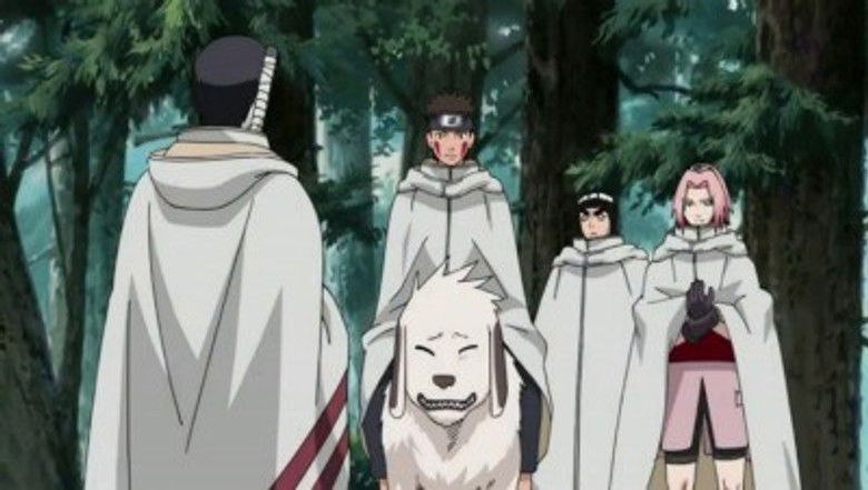 Naruto Shippuden Season 10 Multi Audio WEB-DL - AnimeDrive