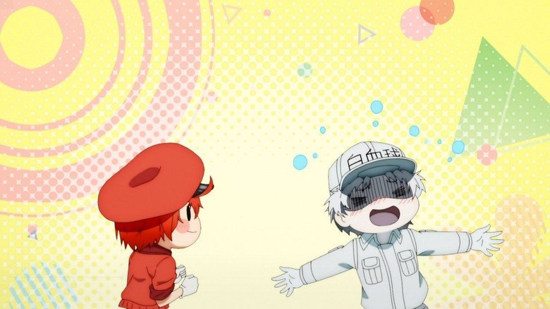 Cells at Work Season 2 Hindi Download Free - AnimeDrive