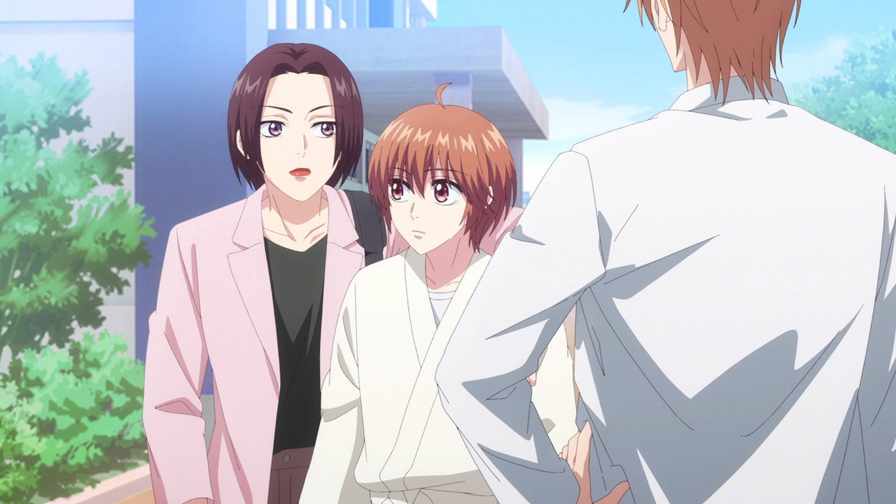 Hana Kimi Season 2 Multi Audio WEB-DL - AnimeDrive