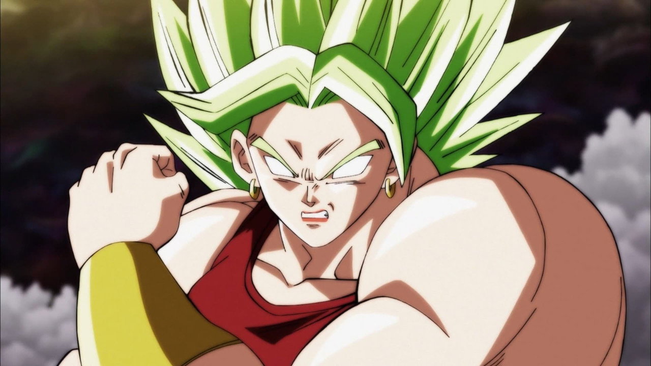 Dragon Ball Super Season 5 Hindi Download Free - AnimeDrive