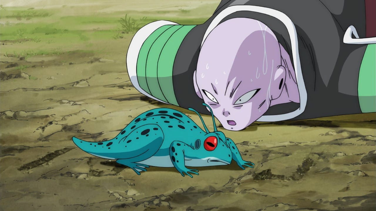 Dragon Ball Super Season 2 Hindi Download Free - AnimeDrive