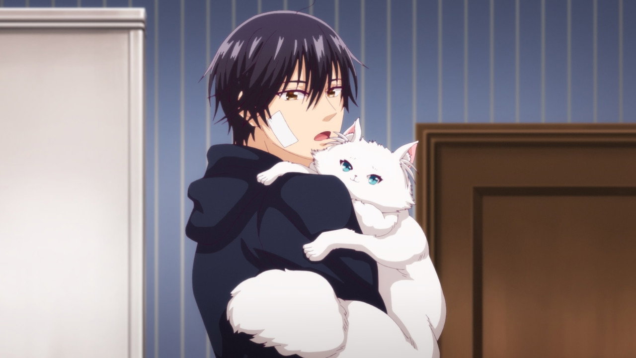 Vampire Dormitory Season 1 Hindi Download Free - AnimeDrive